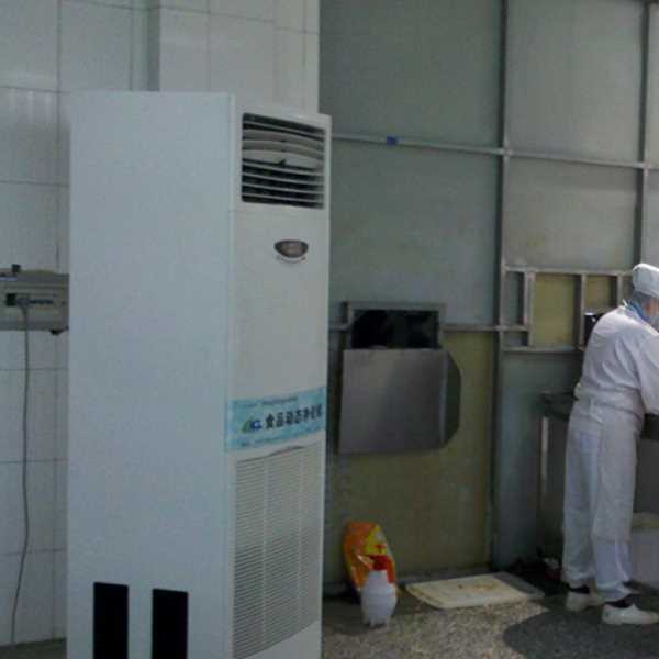 鸡西食品正负离子空气杀菌器